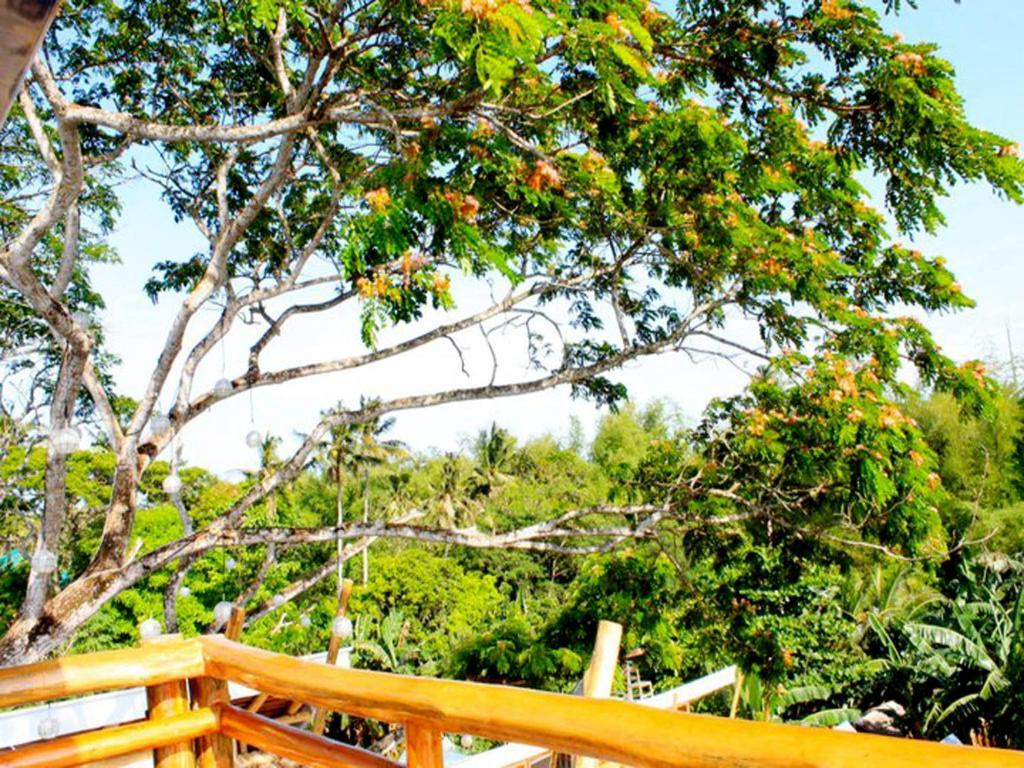 Palo Alto Bed & Breakfast Puerto Princesa Ngoại thất bức ảnh